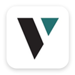 Viden Advisory Logo